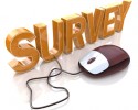 survey